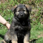 Boston