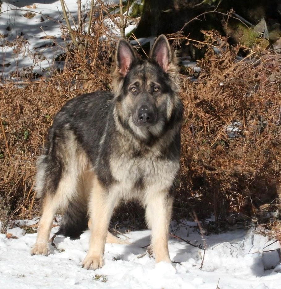 WhatsApp Image 2026-01-08 at 20.48.39